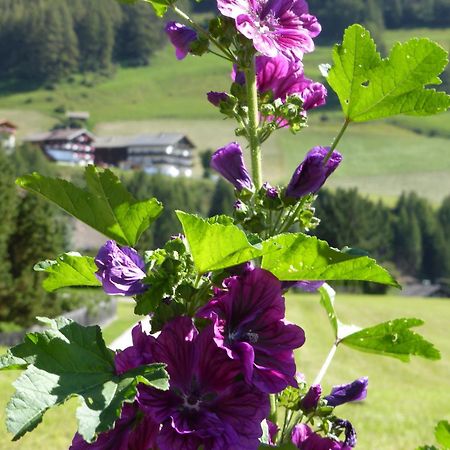 Appartamento Haus Panoramablick Kals-am Großglockner Esterno foto