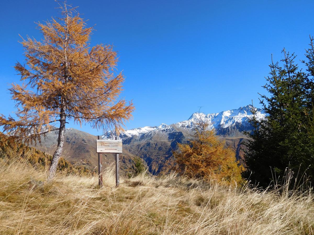 Appartamento Haus Panoramablick Kals-am Großglockner Esterno foto