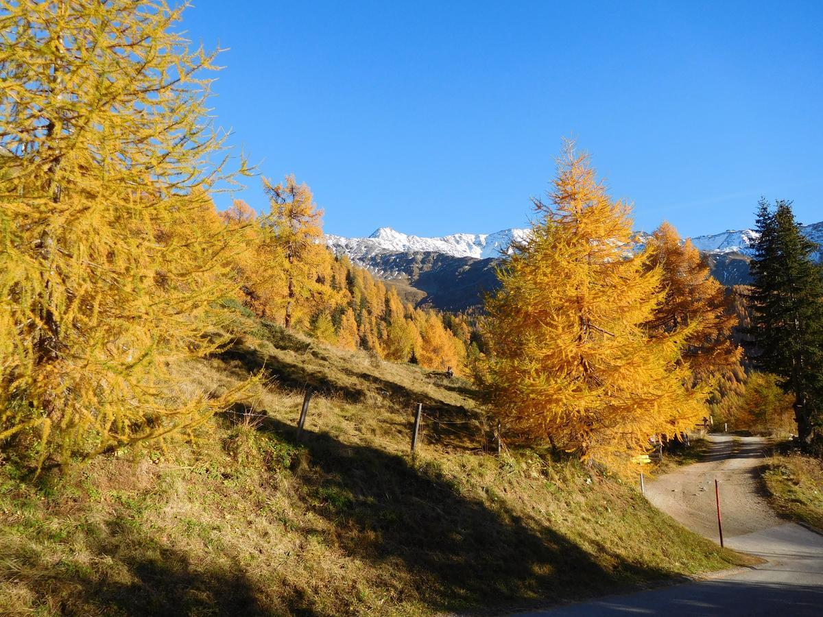Appartamento Haus Panoramablick Kals-am Großglockner Esterno foto